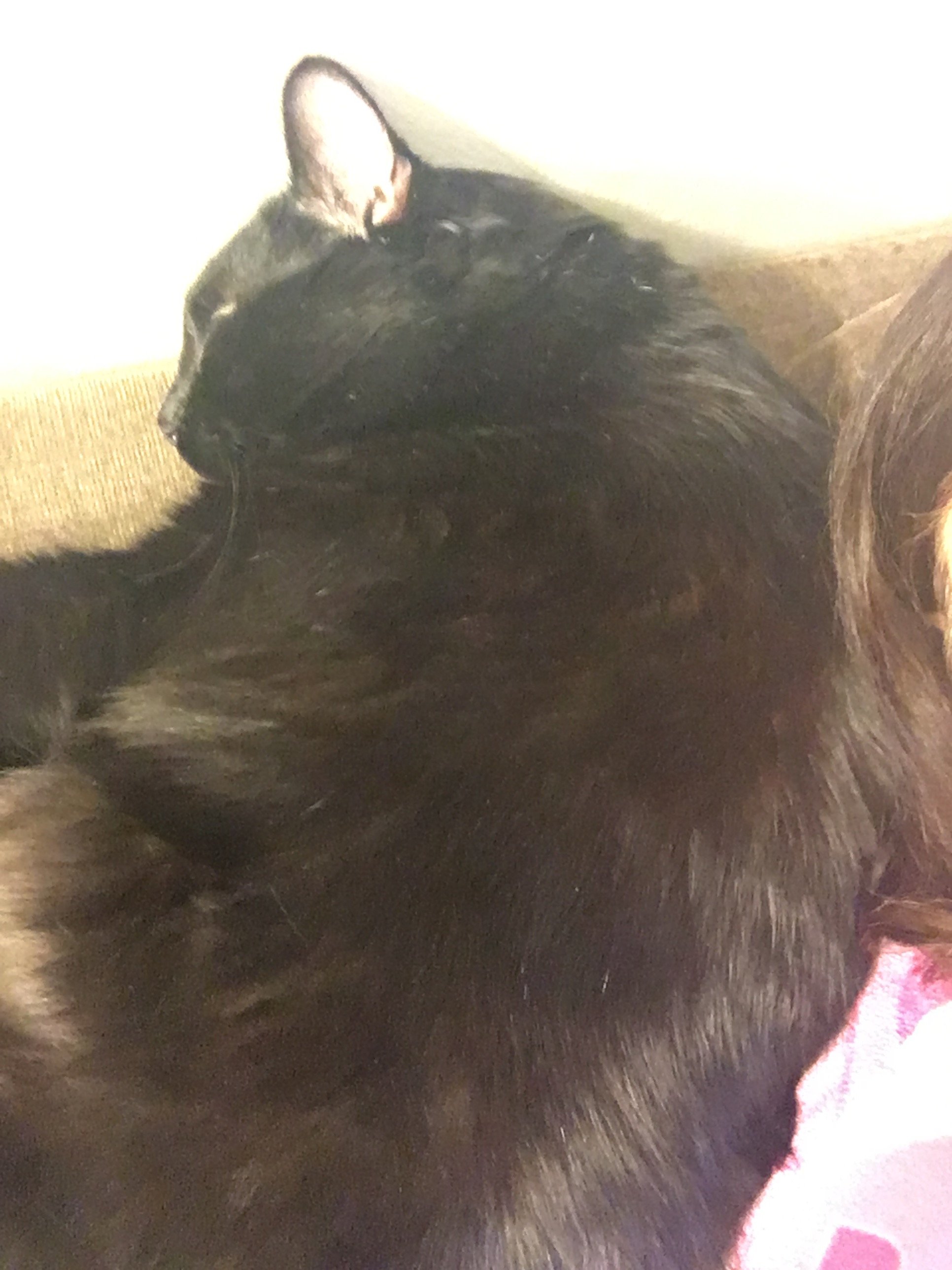 Jamiesmonkey's profile picture. 