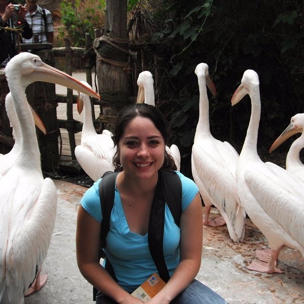 MGranados_85's profile picture.