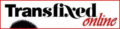 transfixed's profile picture. Our aim at Transixed is to provide a high st salon exp for transgender and crossdressser clients