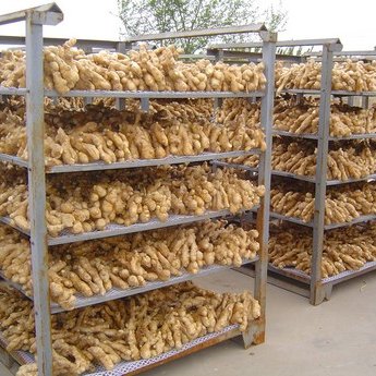 YawKbrother's profile picture. 