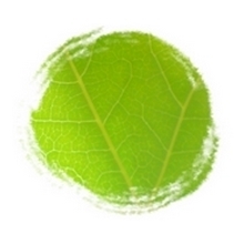 viherio's profile picture. Bureau d'études thermiques spécialisé en optimisation énergétique des bâtiments