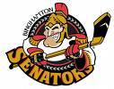 An unoffical following of the Binghamton Senators hockey team, the AHL affiliate to the Ottawa Senators.