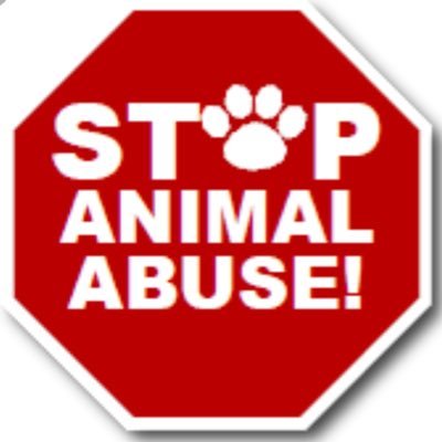 Stop Animal Abuse! (@ilive4animals) / Twitter Stop Animal Abuse! (@ilive4animals) / Twitter