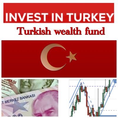 Turkey Sovereign Wealth Fund, TVF Turkey Türkiye 🇹🇷 Turkish
