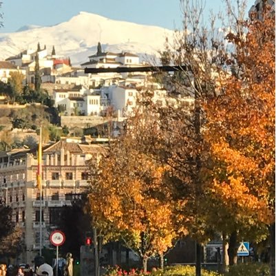 MD PhD senior Researcher on Cancer Epidemiology  and PREVENTION @EASPSalud @ibsGRANADA @CIBER_ESP @canalUGR. Scientific director of @ibsGRANADA Visiting Scholar