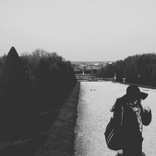 loancrea's profile picture. développeur web et UI designer