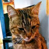 John Horn (@kyonjph) 's Twitter Profile