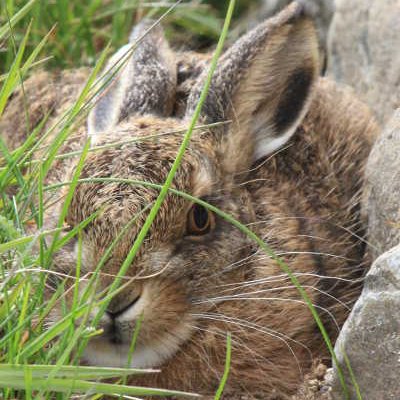 MurielLecomte's profile picture. 