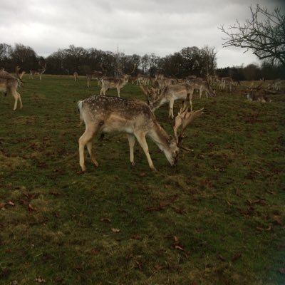 sadiealconleig's profile picture. 