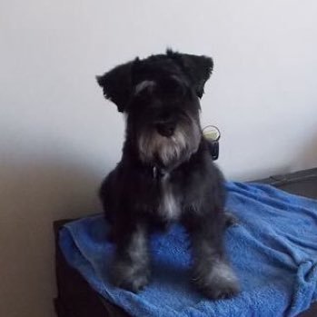 defs1972's profile picture. Artistas Cine y Teatro Cultura Destinos Entretenimiento Música Television Tecnología