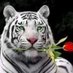 الرحال للمقاولات والصيانة (@sa__________bu_) Twitter profile photo الرحال للمقاولات والصيانة (@sa__________bu_) Twitter profile photo