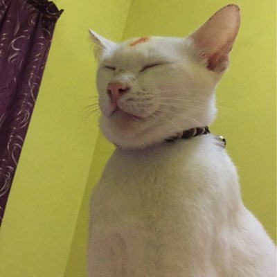 cyunk_amierah's profile picture. idop aku simple je , selambe je , sempoi macam korang jugakk laa , maybe , paling penting aku x suka hipokrit oukey , muahhh stepekkk