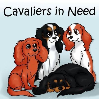 A small group of volunteers dedicated to protecting Cavalier King Charles spaniels in need, and to raise awareness of the health problems in the breed.