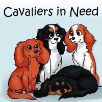 CavaliersInNeed (@cavaliersinneed) 's Twitter Profile Photo CavaliersInNeed (@cavaliersinneed) 's Twitter Profile Photo