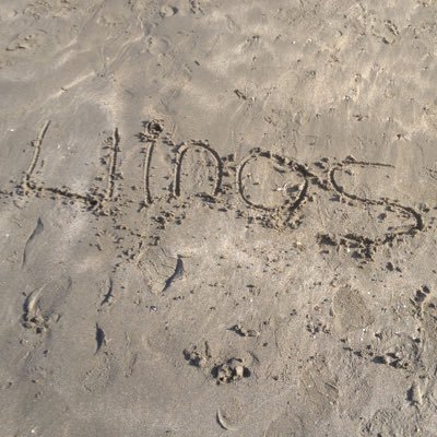 LlinosE's profile picture. 