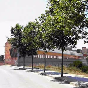 Scholars La Bastida Scholarsbastida Twitter