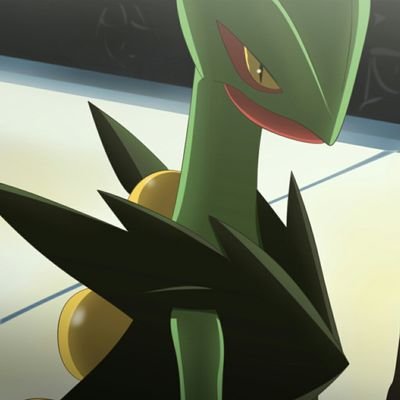 It's ya gurl! Leaf the Sceptile is the master of Coolness contest in both Sinnoh and Hoenn #OpenRP Non-Lewd {Avi & Header by all0412}
