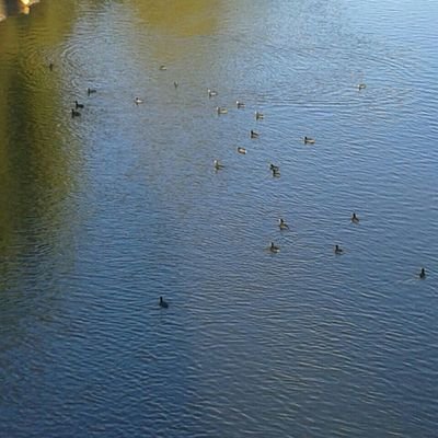 Danigk38's profile picture. Adorable