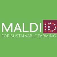 MALDIID (@tomaldiid) 's Twitter Profile