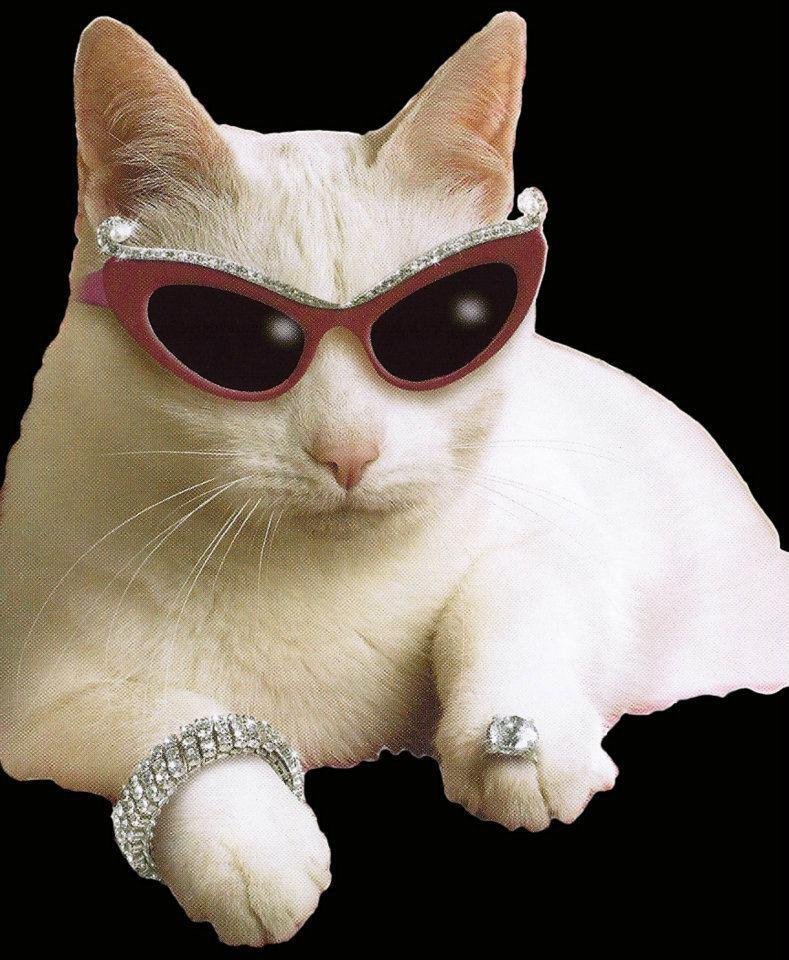 edmiester's profile picture. No DM.