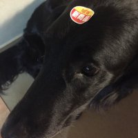 AIDY (@aidy_wot) 's Twitter Profile