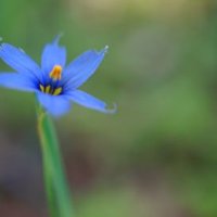 🐾kuri_gon (@kuribon46) 's Twitter Profile