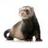 GMacCombe's profile image