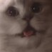 3rd Amndmt Lobbyist (@rhizomaticheg) Twitter profile photo 3rd Amndmt Lobbyist (@rhizomaticheg) Twitter profile photo