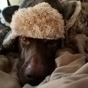 amanda bauer - @butIamAMBauer - Twitter