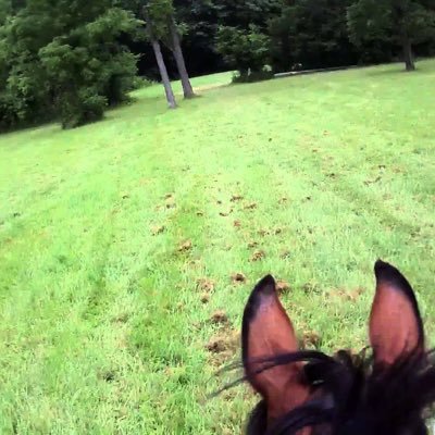 sassy_mamita's profile picture. I have a helmet cam...might as well use it