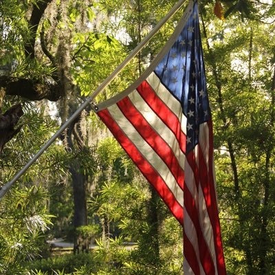 pankajk78us's profile picture. traveller, dad to the most wonderful kids in the world!