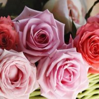 ام لانا (@wajoodi2015) Twitter profile photo