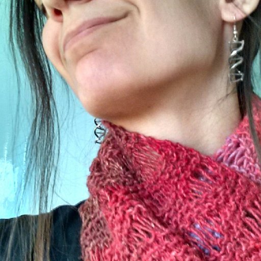 Geek, gamer, knitter, bookworm, and fan of the Oxford comma. She/they.