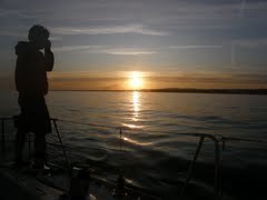 wolfeeboy666's profile picture. Shoreham by sea boy, wannabe writer/photographer with a web site. occasional fool, practising drinker, happy Hammers fan