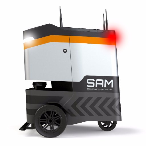 I am a security robot by choice. Reliable, affordable, but for sure handsome.