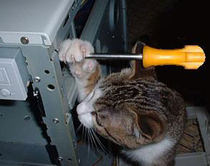 gshaw0's profile picture. 