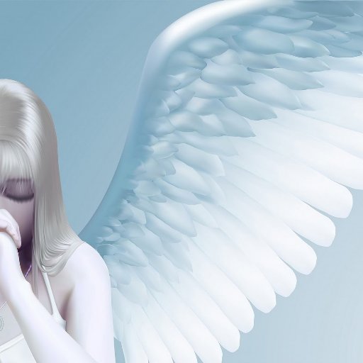 WijWittevrouwen's profile picture. 