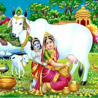 ManMohanprasa19's profile picture. 