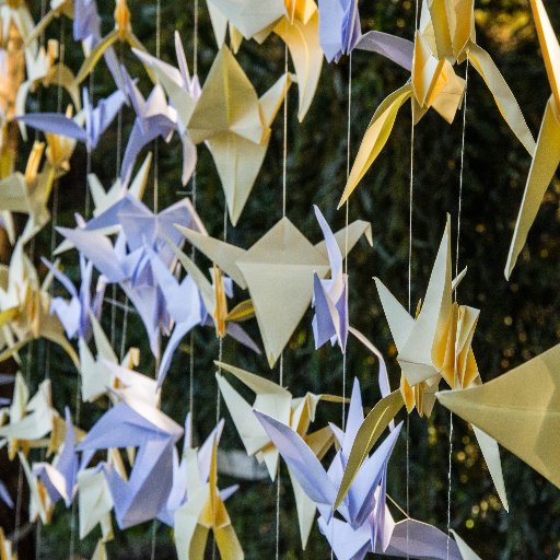 _alivalaM's profile picture. Periodista. Trabajadora de la cultura, lectura y libro. 
¡Amor eterno a las grullas!