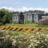 Marie Lancaster - @gregynog10 - Twitter