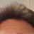 StevesToupee's profile image