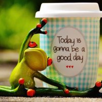 Natasha Branton (@auntytash) 's Twitter Profile