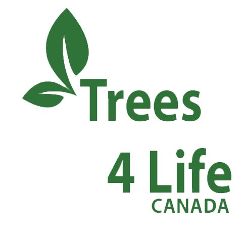 Bringing early environmental education
to children around the world with the help of teachers since 1991. Registered non-profit, charitable organization