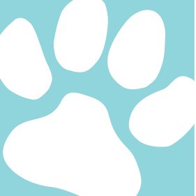 Cosmopawlitan is here to help you keep your pet healthy and happy through our dog & cat grooming services and products.