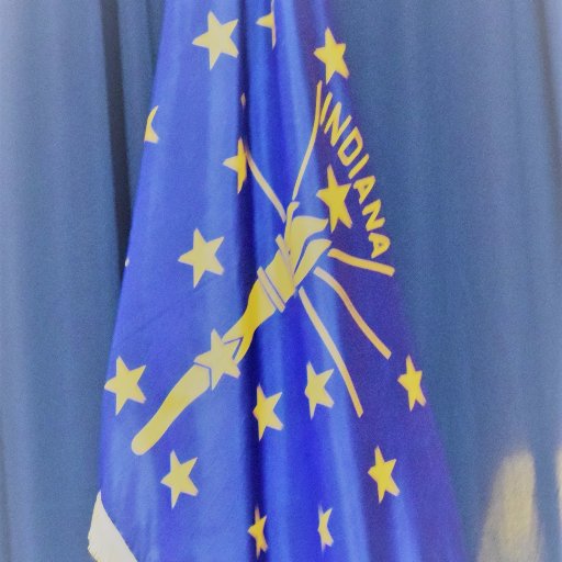 Staff_IN_LtGov's profile picture. 