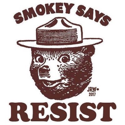 Shenaniganoplis's profile picture. 