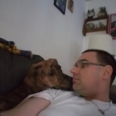 davidshep74's profile picture. 