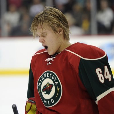 the one and only Finnish Flow 😎                                     Not Affiliated with the Minnesota Wild in any way, just a fan parody account