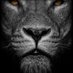 Adam Glaze (@glazious1) Twitter profile photo Adam Glaze (@glazious1) Twitter profile photo