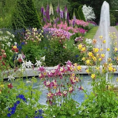 malaima54825925's profile picture. indian